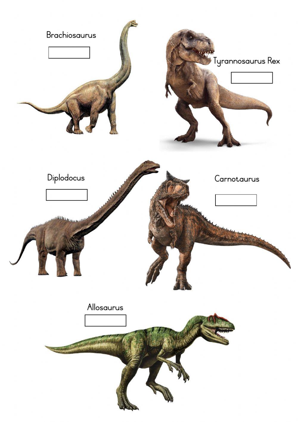 Theropod vs Sauropod
