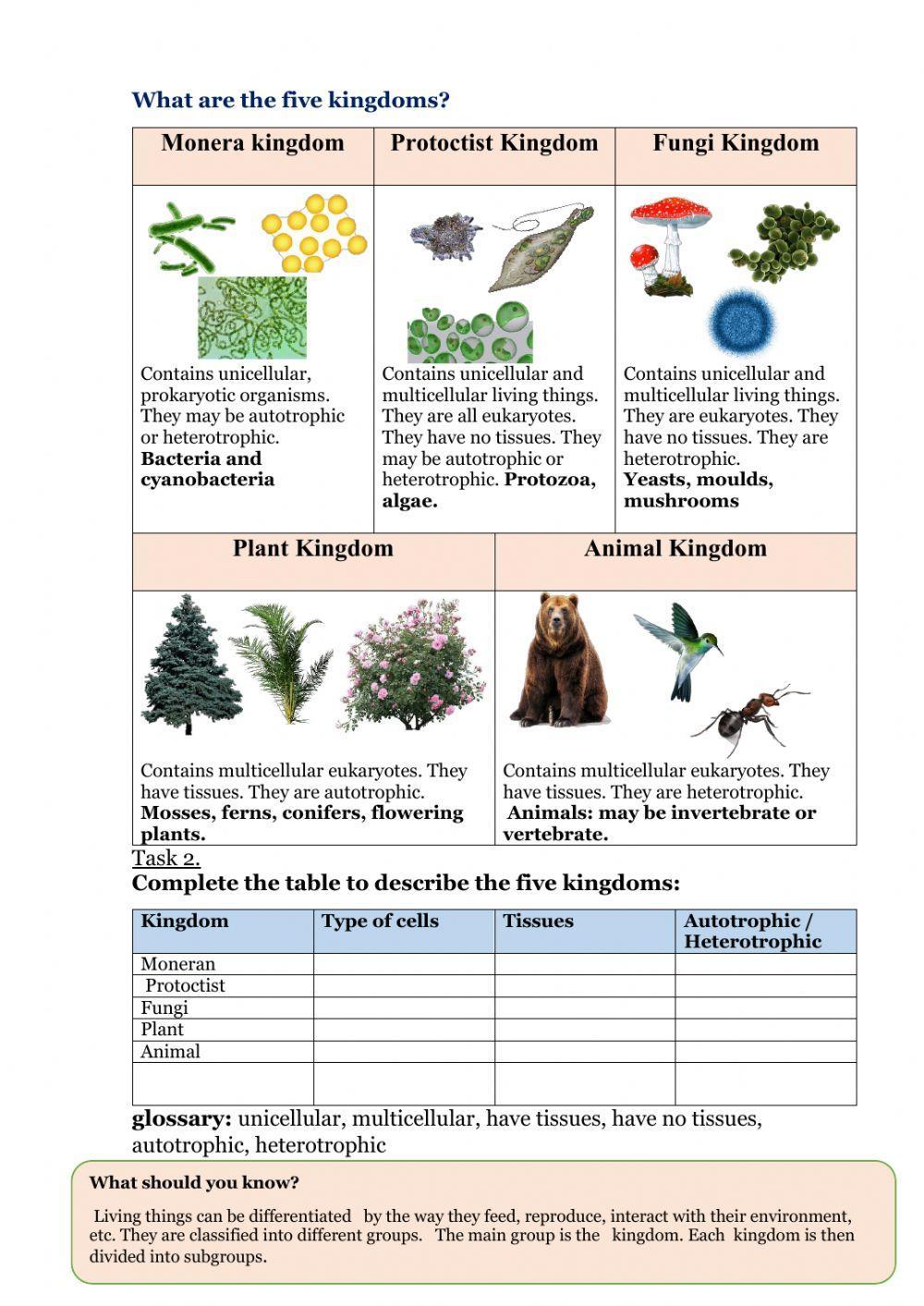 Living things classification