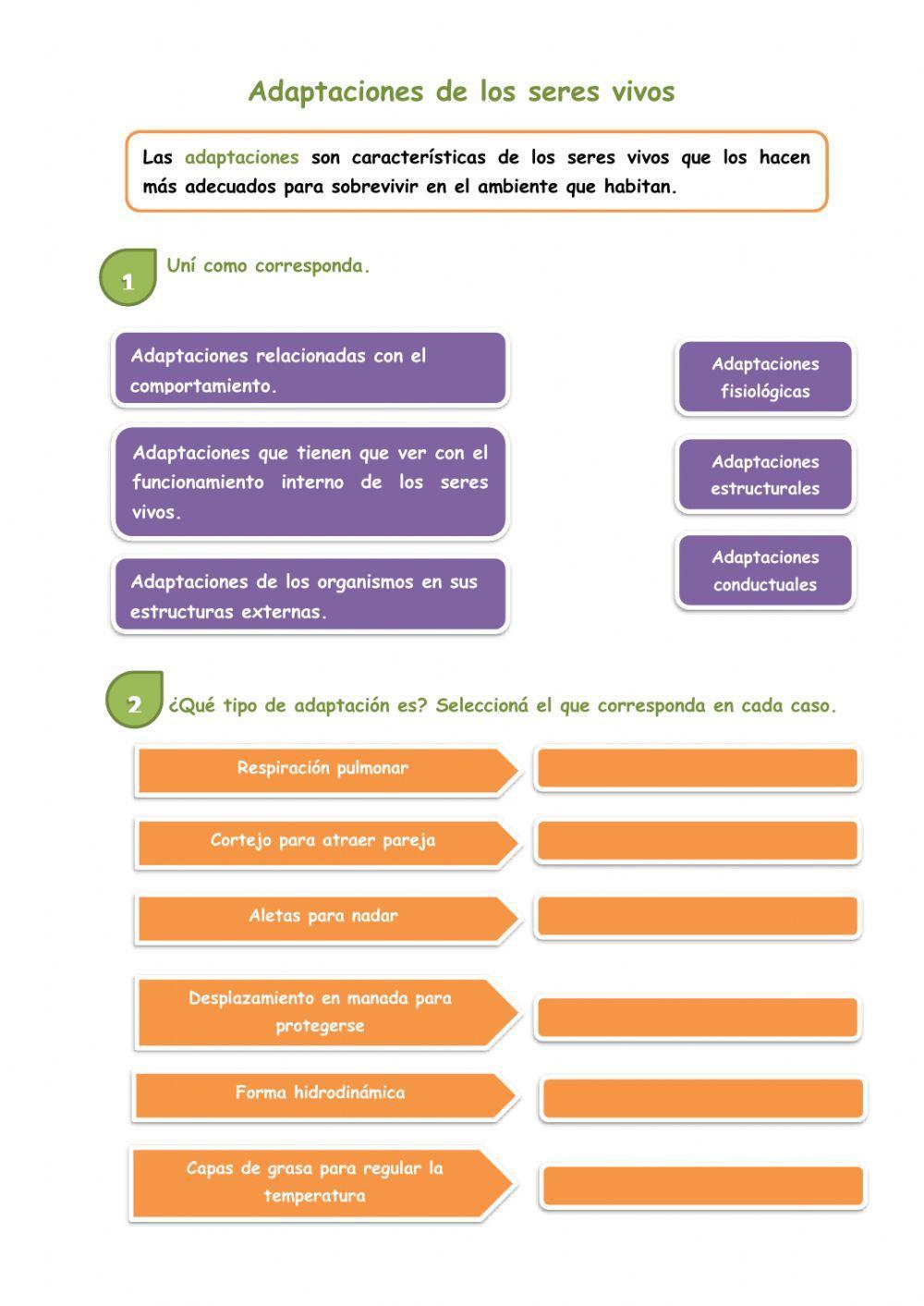 Adaptaciones de los seres vivos