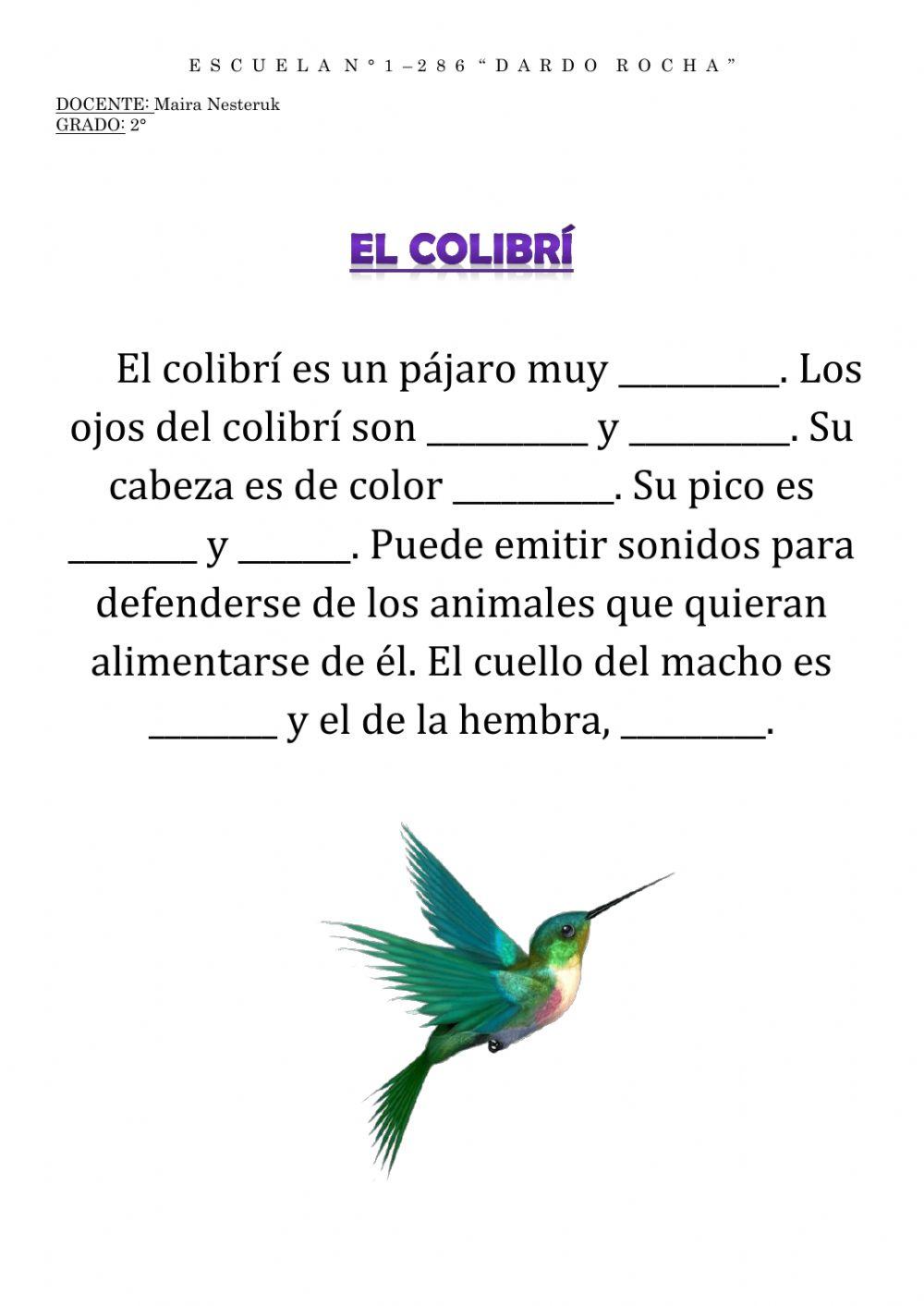 El colibrí - adjetivos