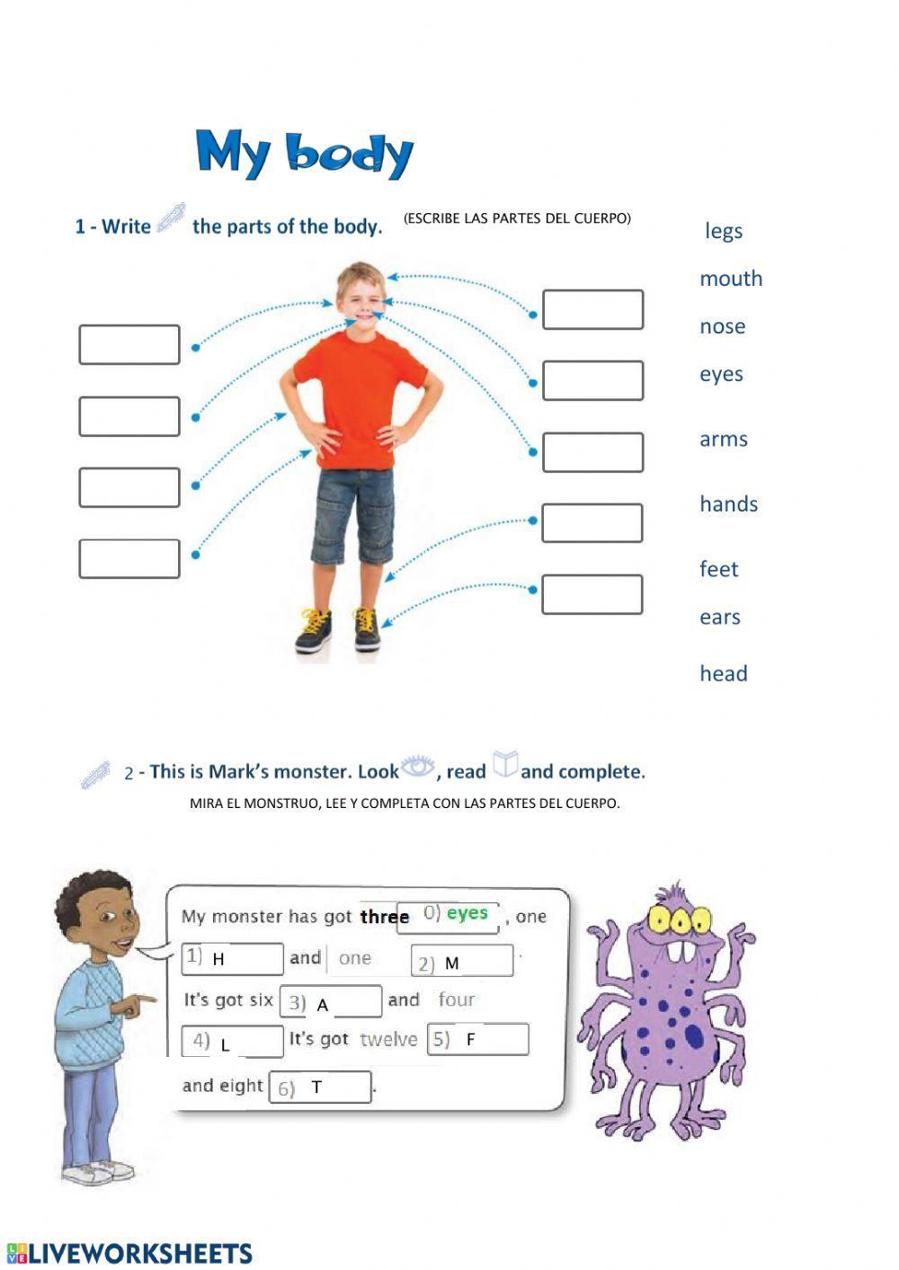 Parts of the body and face