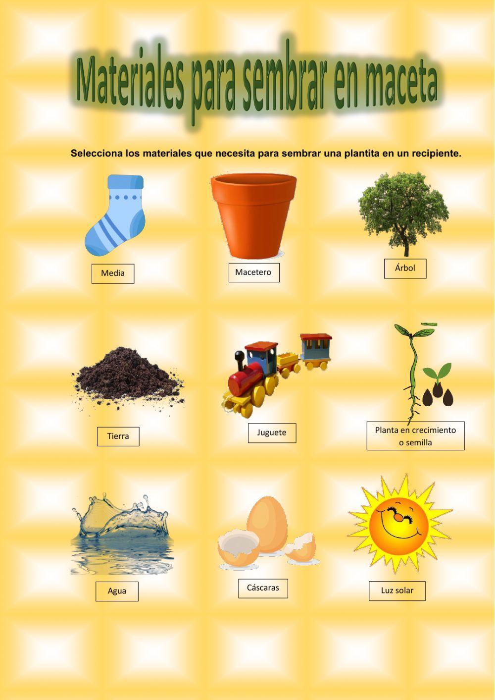 Elementos para sembrar