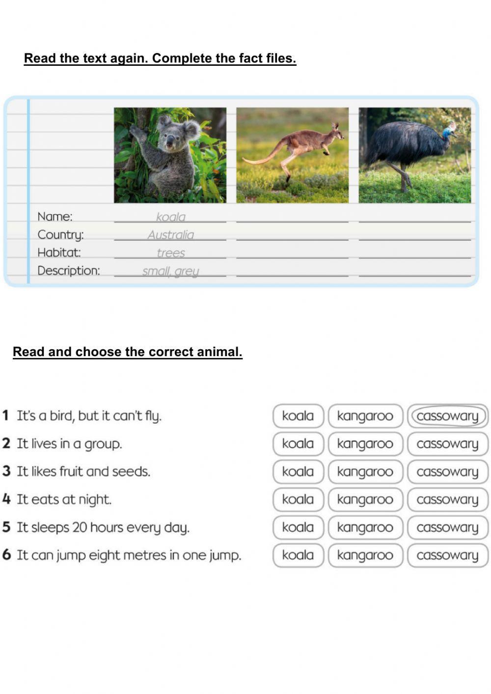 Animals in Australia