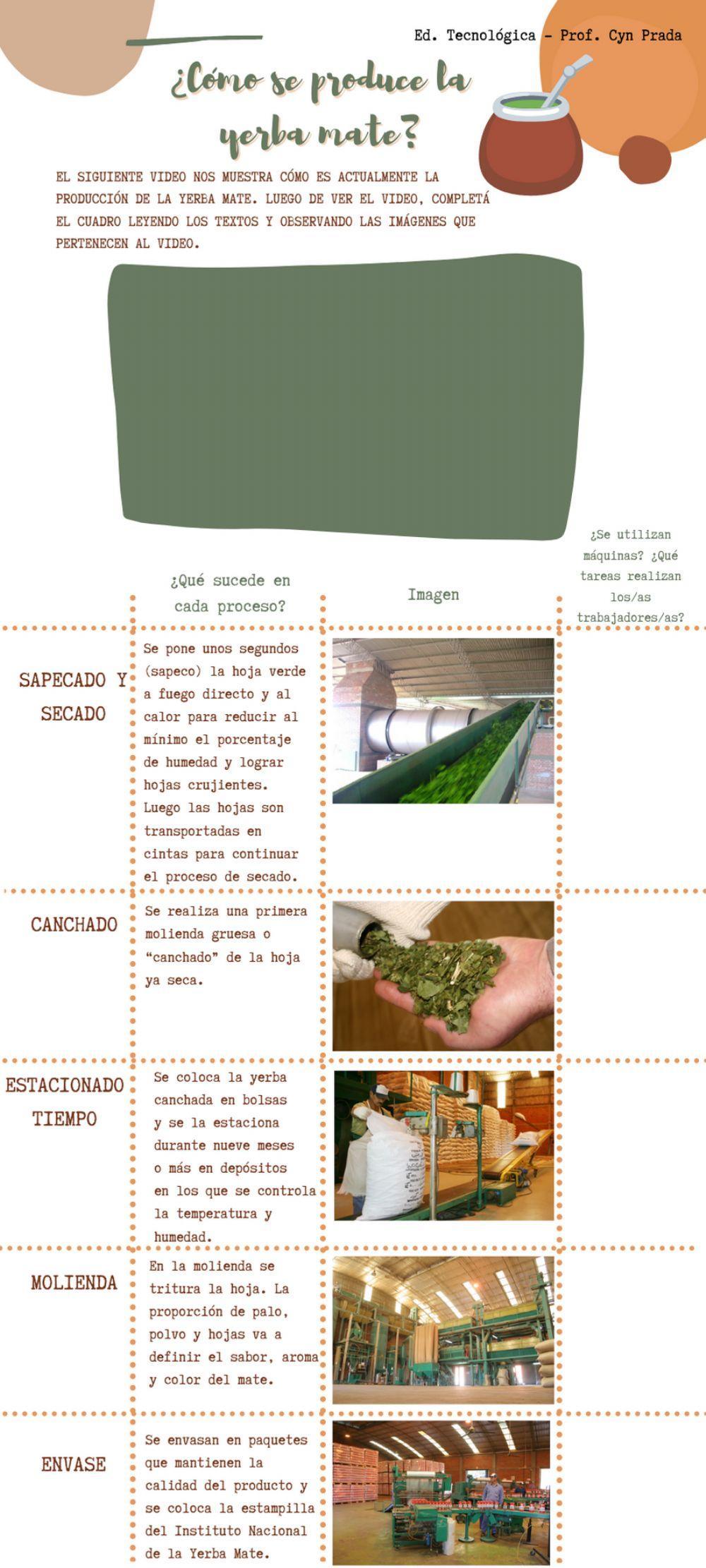 Producción de lla yerba mate