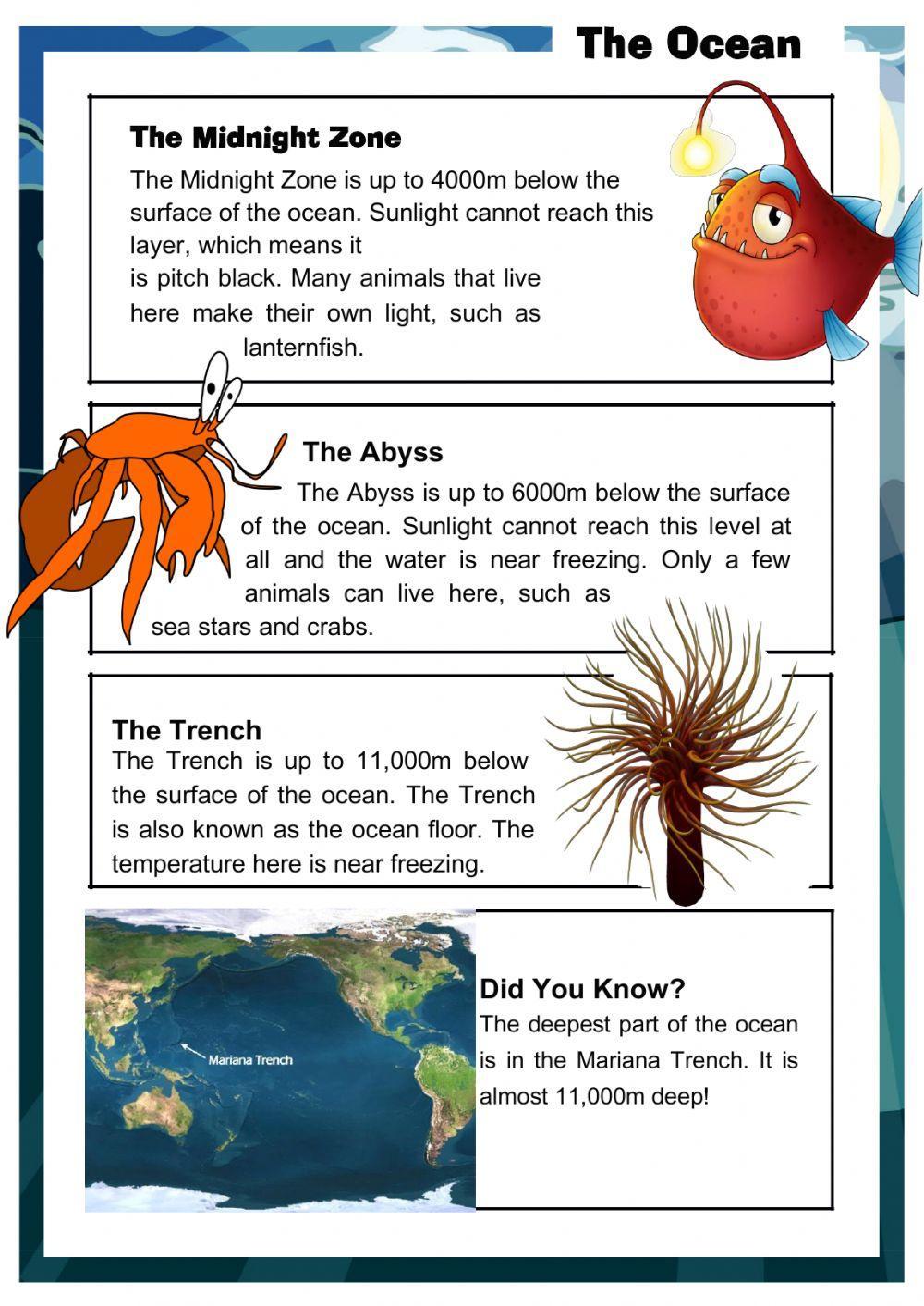The Ocean (Reading Comprehension)