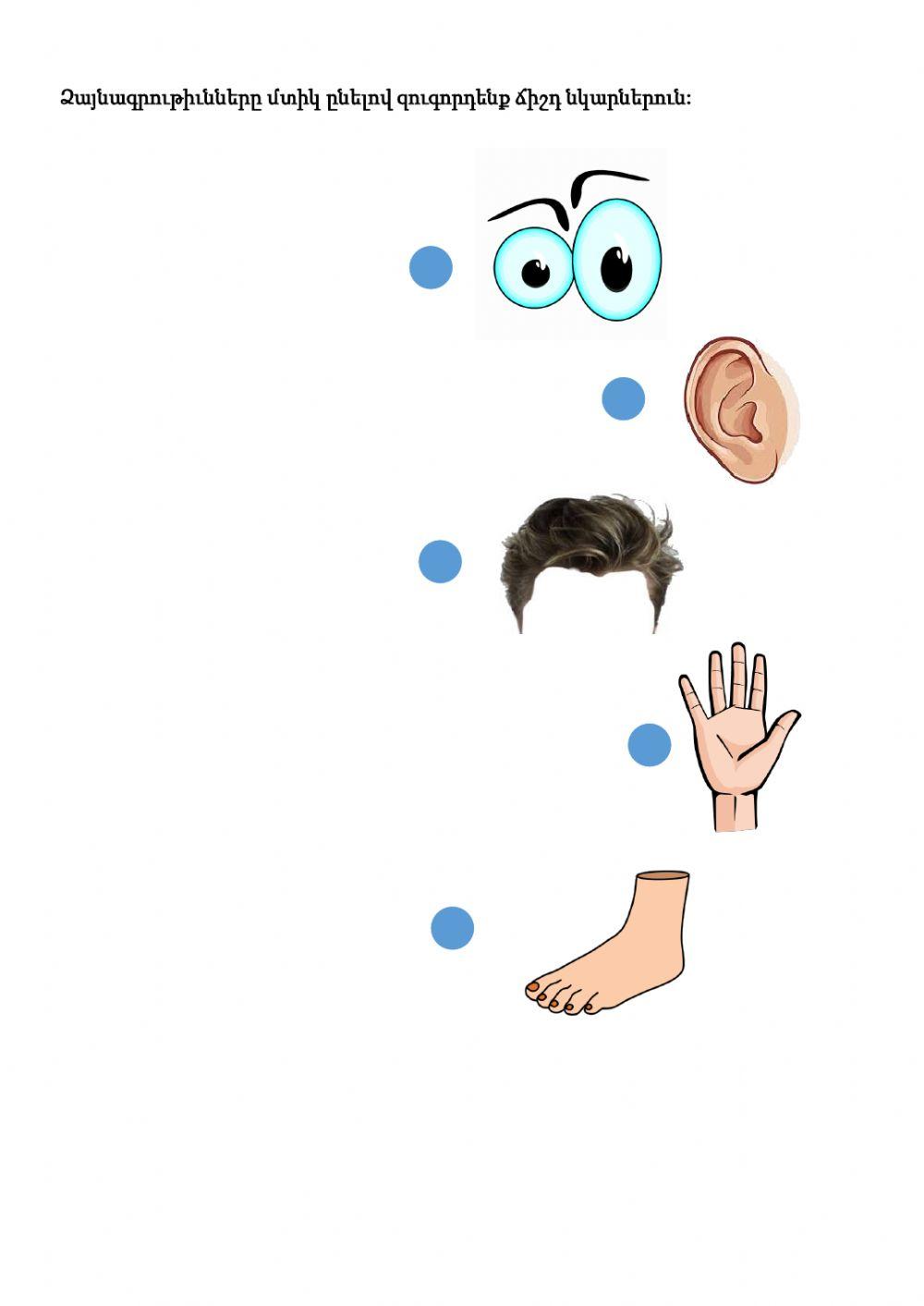 1. sınıf Ermenice ödev tekrar sayfaları