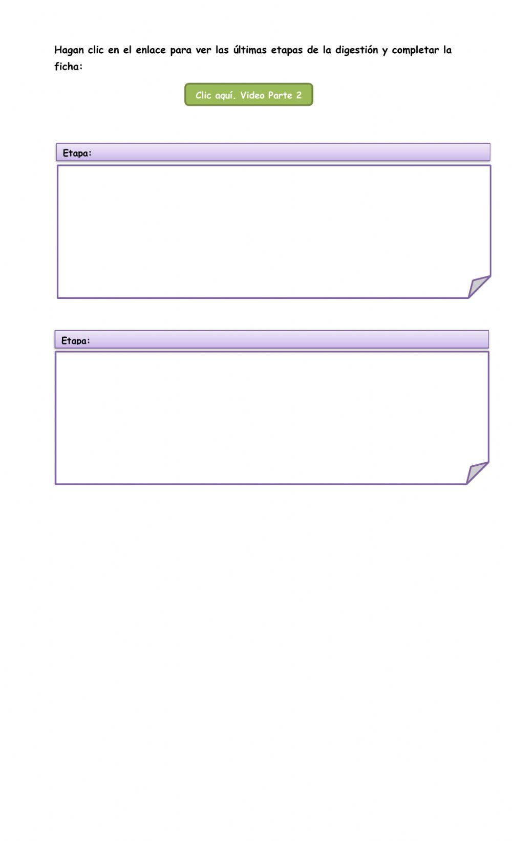 El proceso digestivo