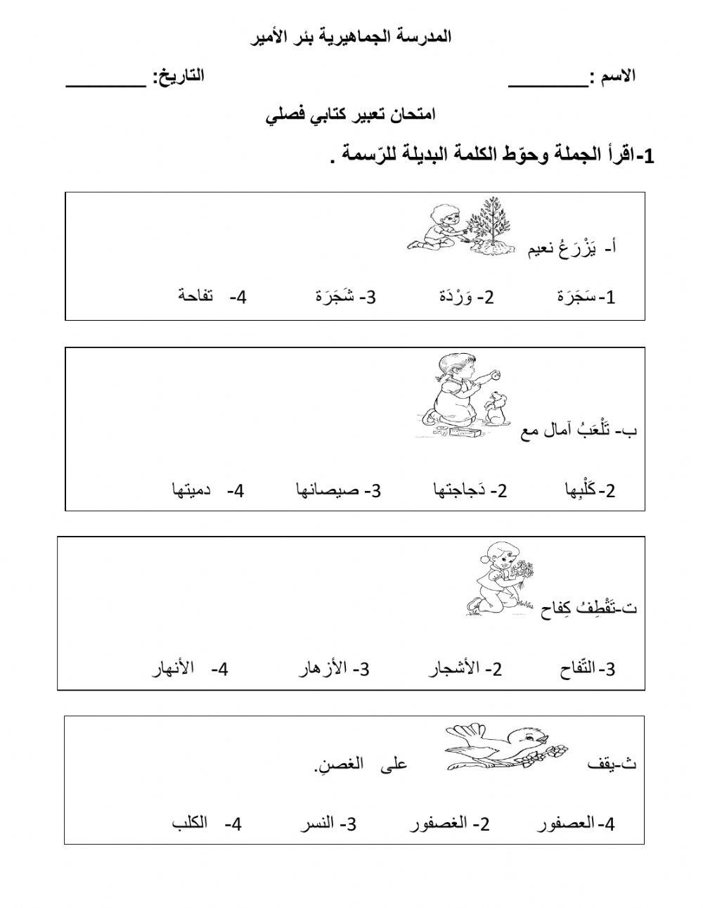 اختيار الكلمة الصحيحة -أميرة بياطرة