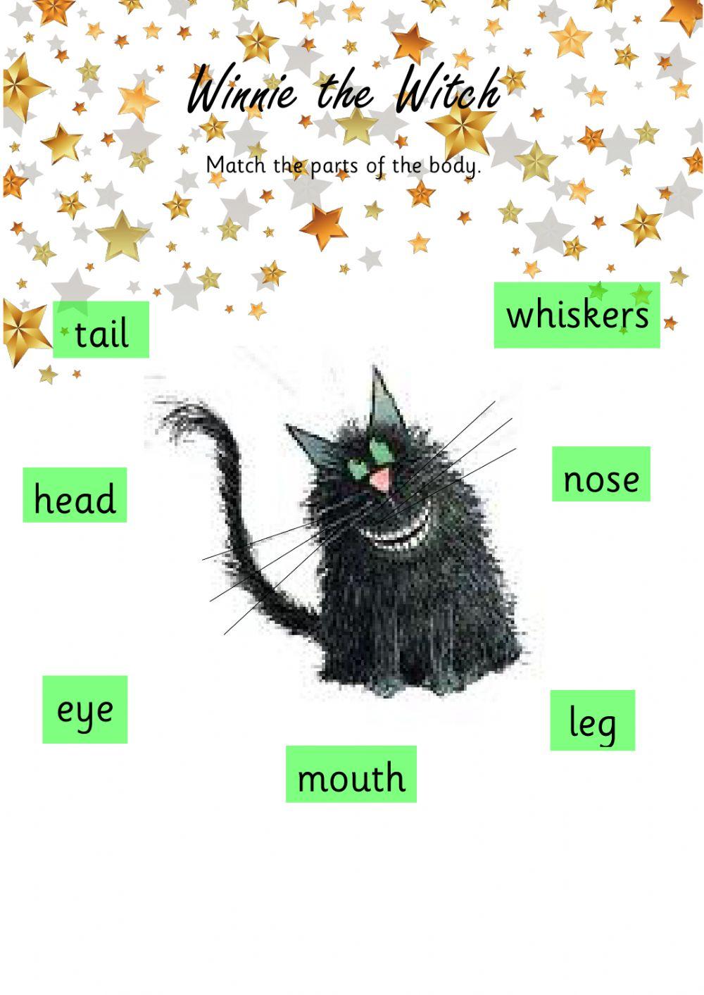Winnie the Witch - Parts of the Body Winnie the Witch - Parts of the Body