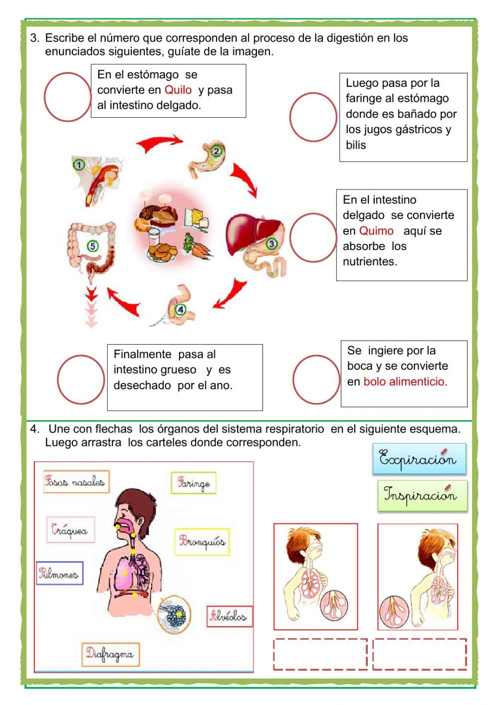 Evaluacion de personal social