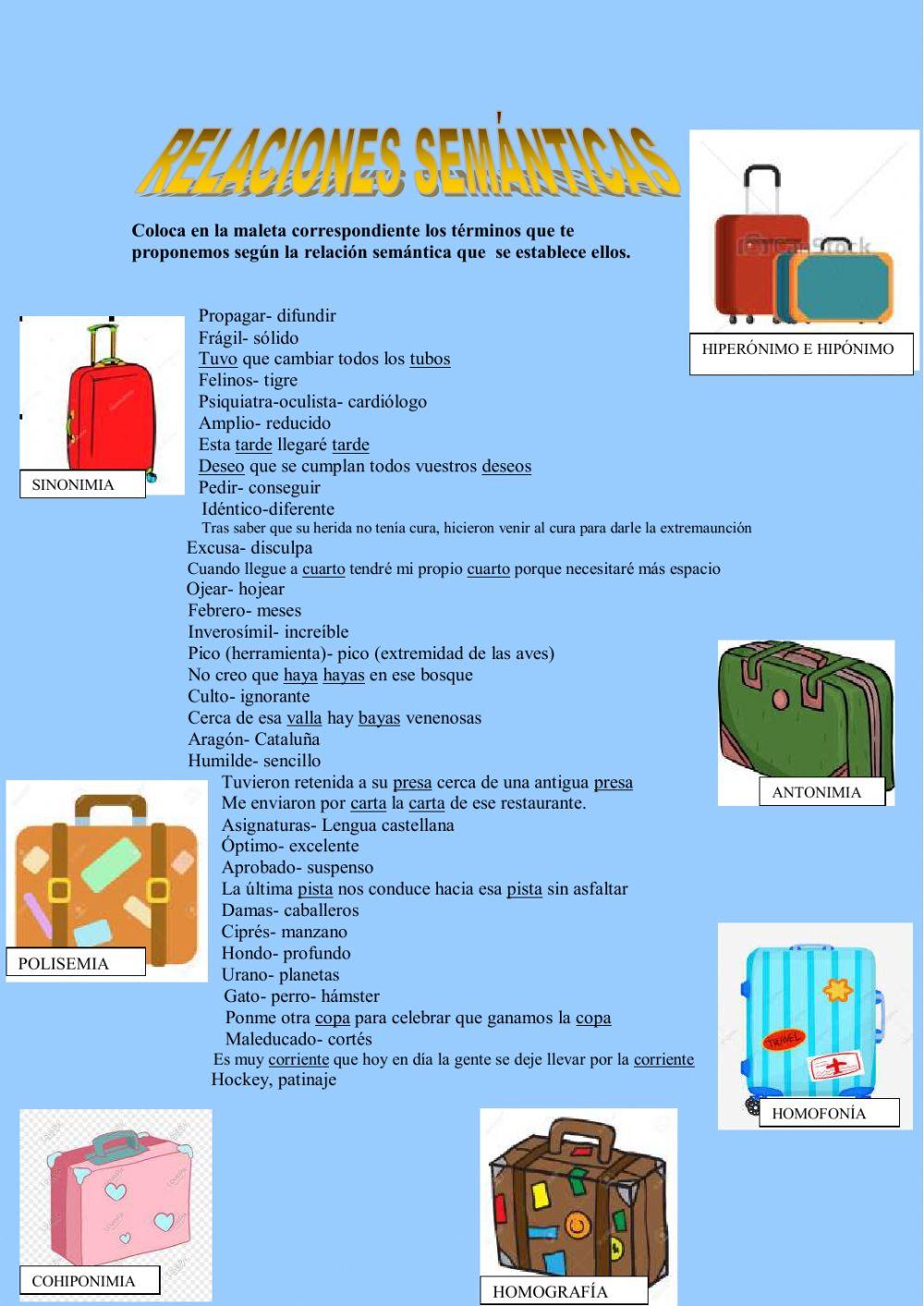 Identifica qué relación semántica se establece