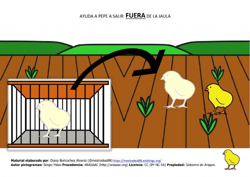 Conceptos espaciales