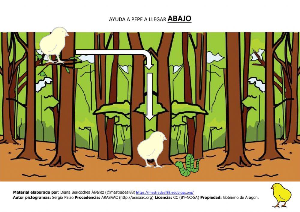 Conceptos espaciales