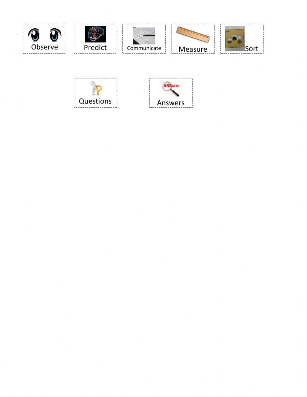 Science Process Skills