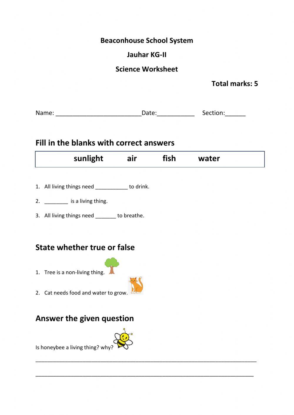 Living and non living things