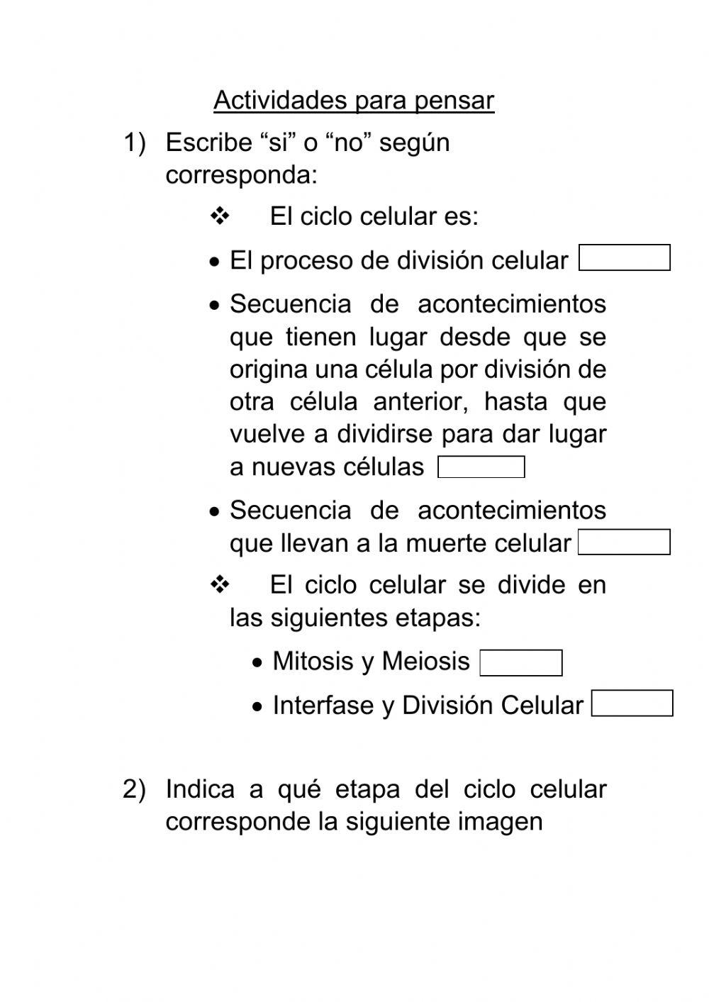 Ciclo celular practico