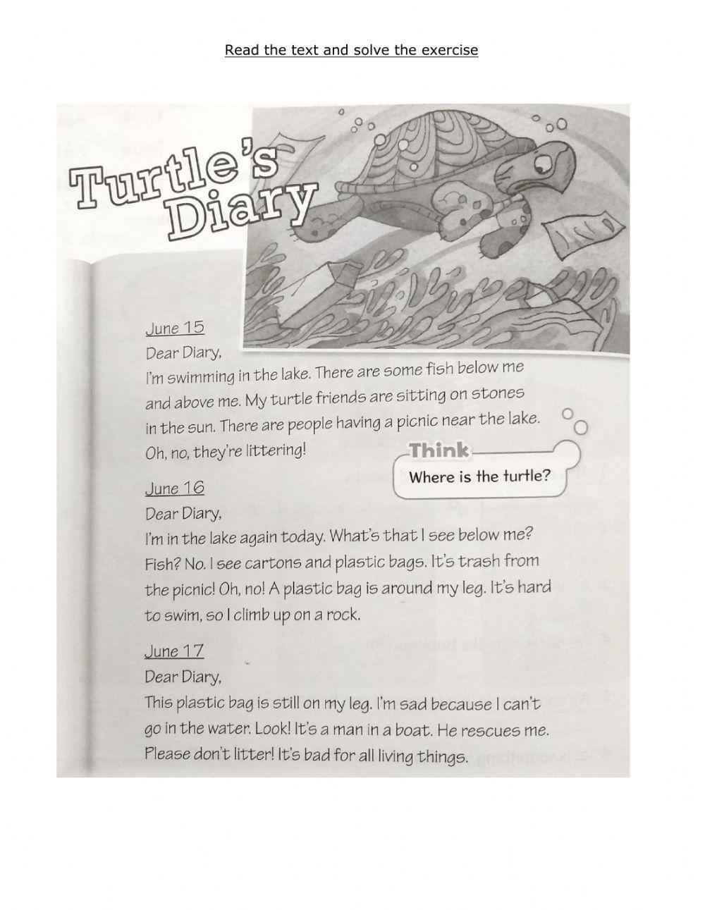 Turtles Diary worksheet Live Worksheets