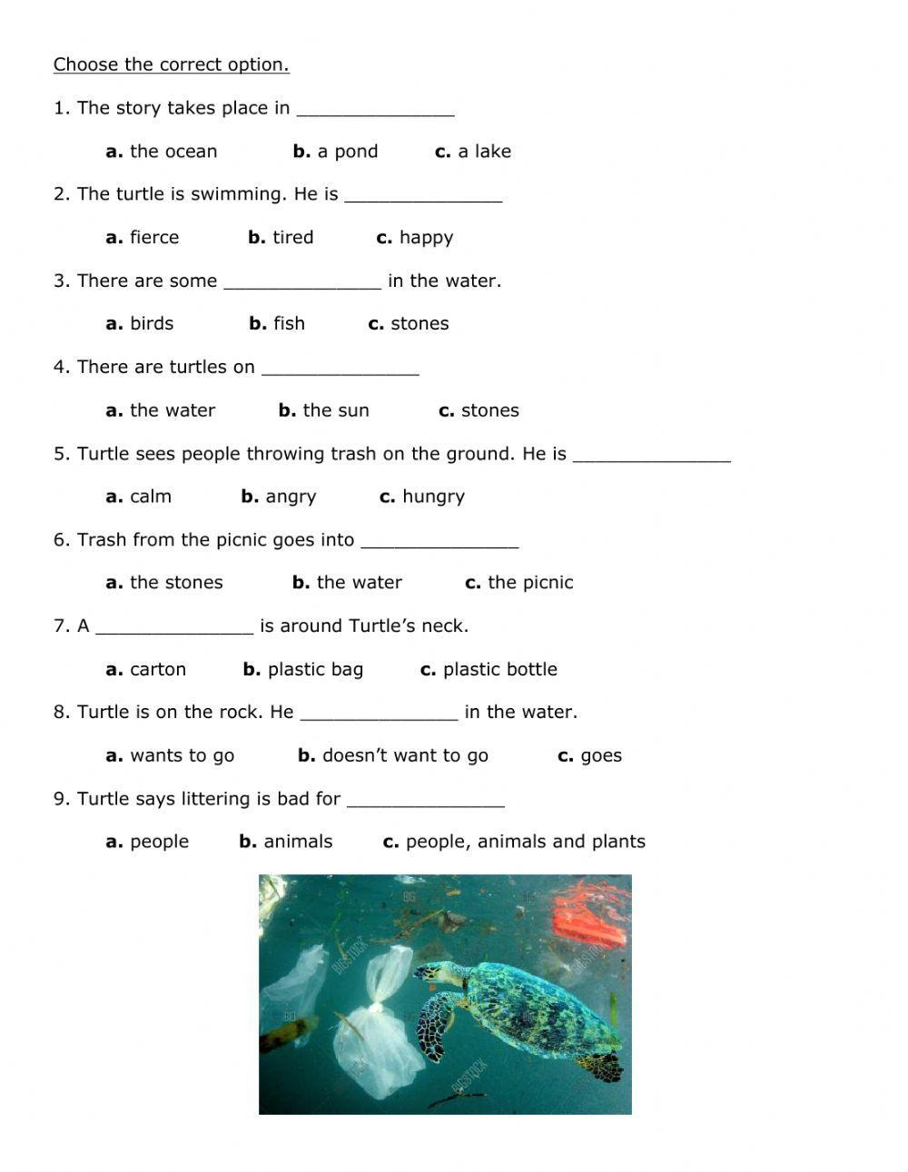 Turtle S Diary Worksheet Live Worksheets Turtle S Diary Worksheet Live Worksheets