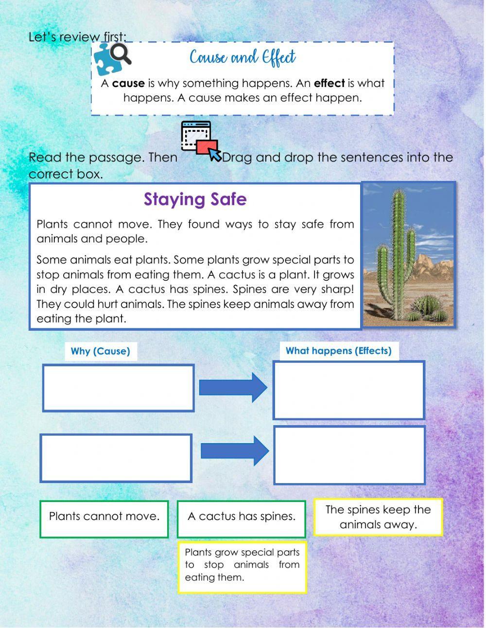 Third term questionnaire: reading and writing