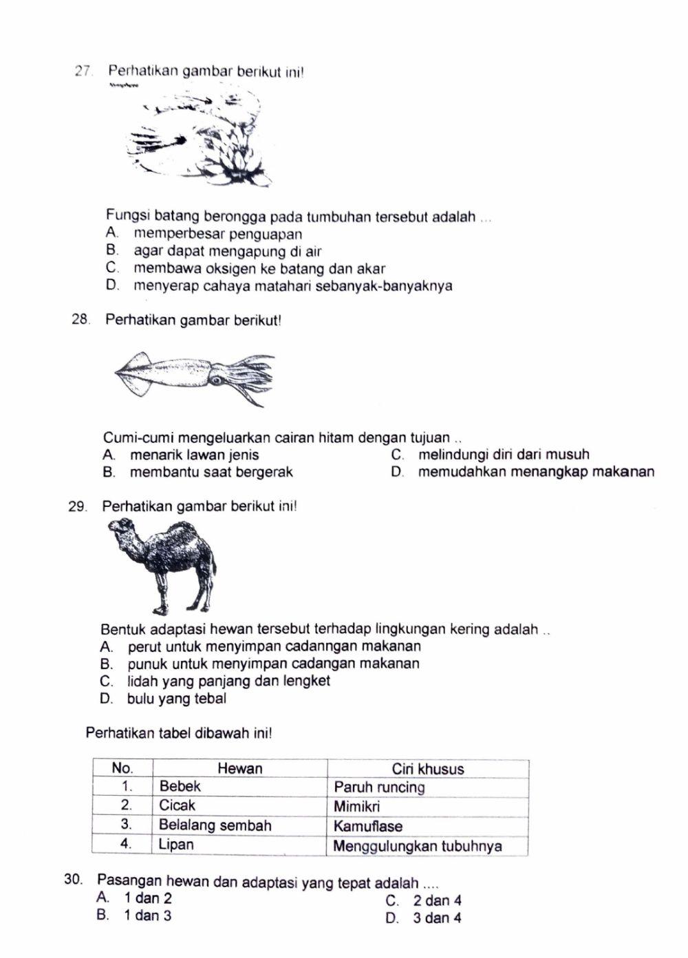 Latihan PTS IPA Tema 2