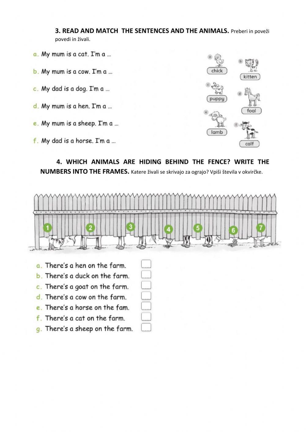 ON THE FARM- FARM ANIMALS AND THEIR BABIES, Class 3