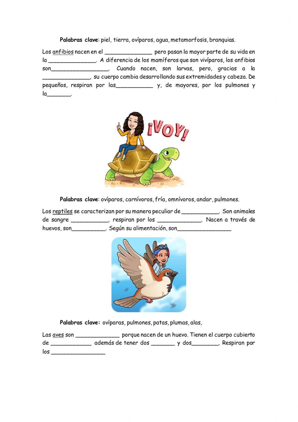 Reino de los animales