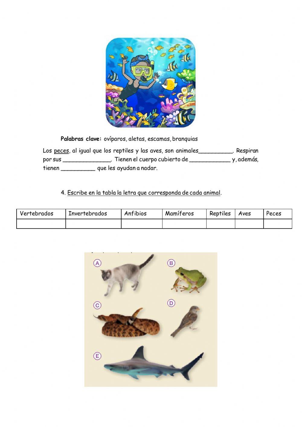 Reino de los animales