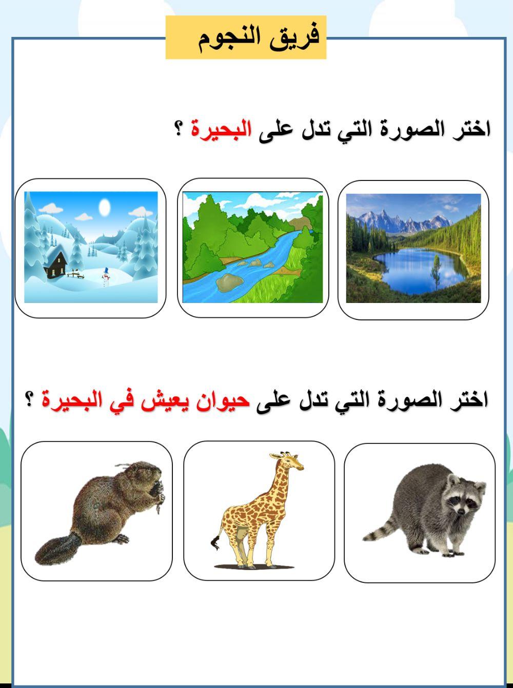 ما الموطن البيئي في البحيرة النجوم