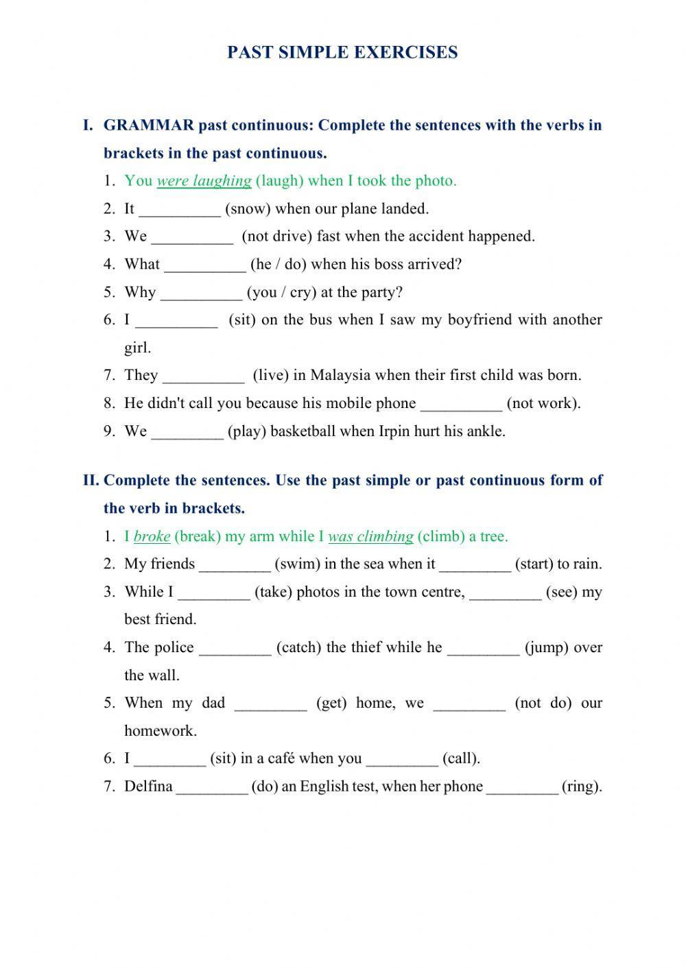 Past Continuous Exercises