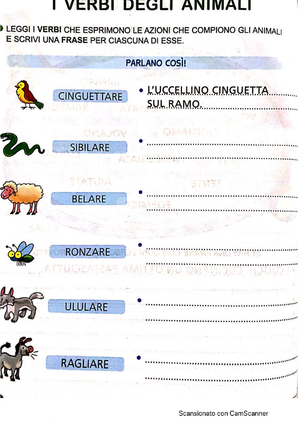 L'USO DEL VERBO NELLA FRASE