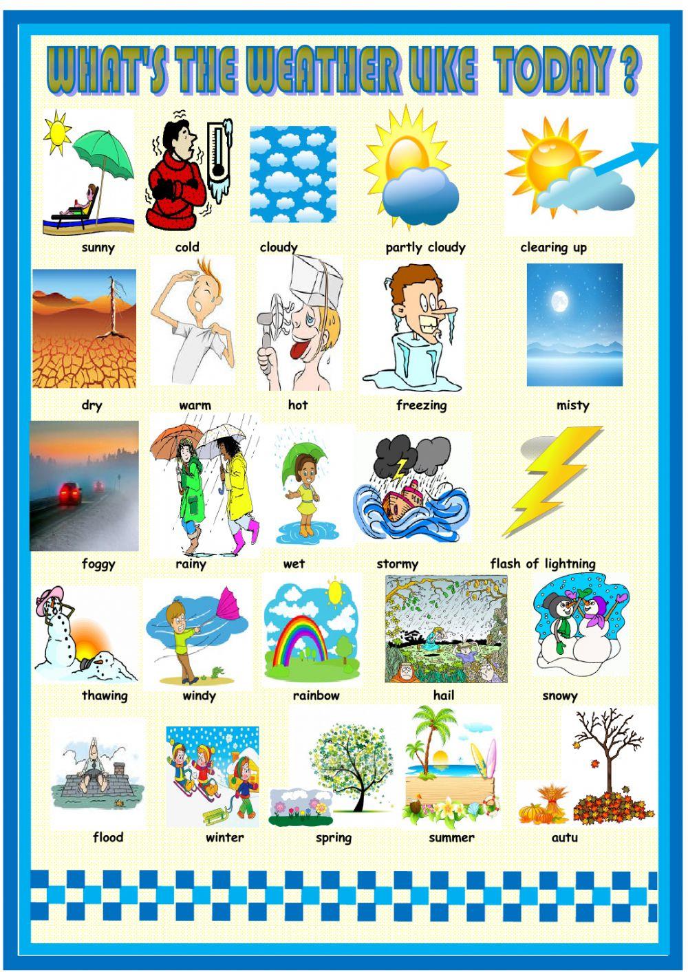 Weather and Seasons Picture Dictionary