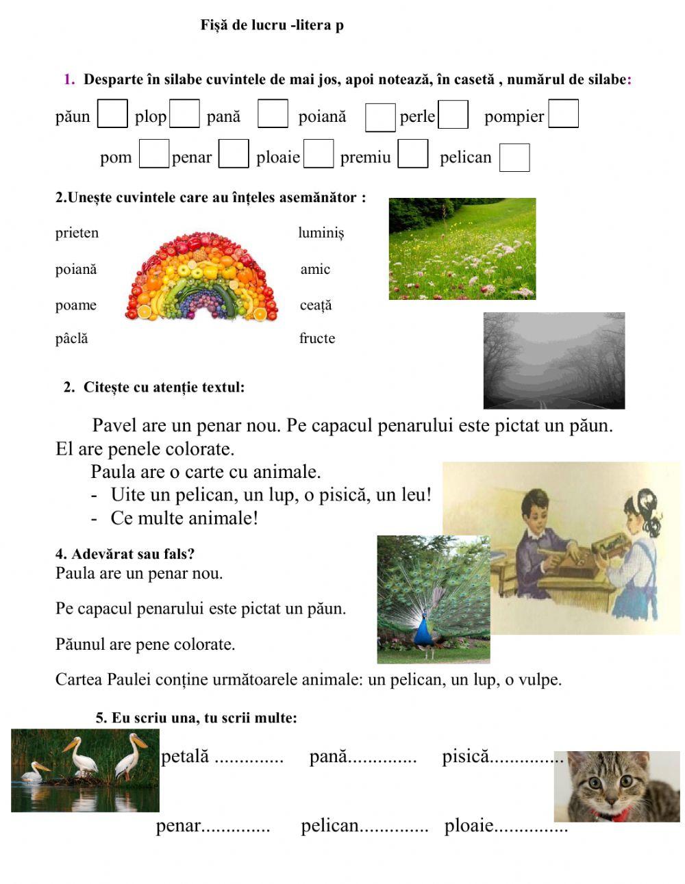 Fișă litera p