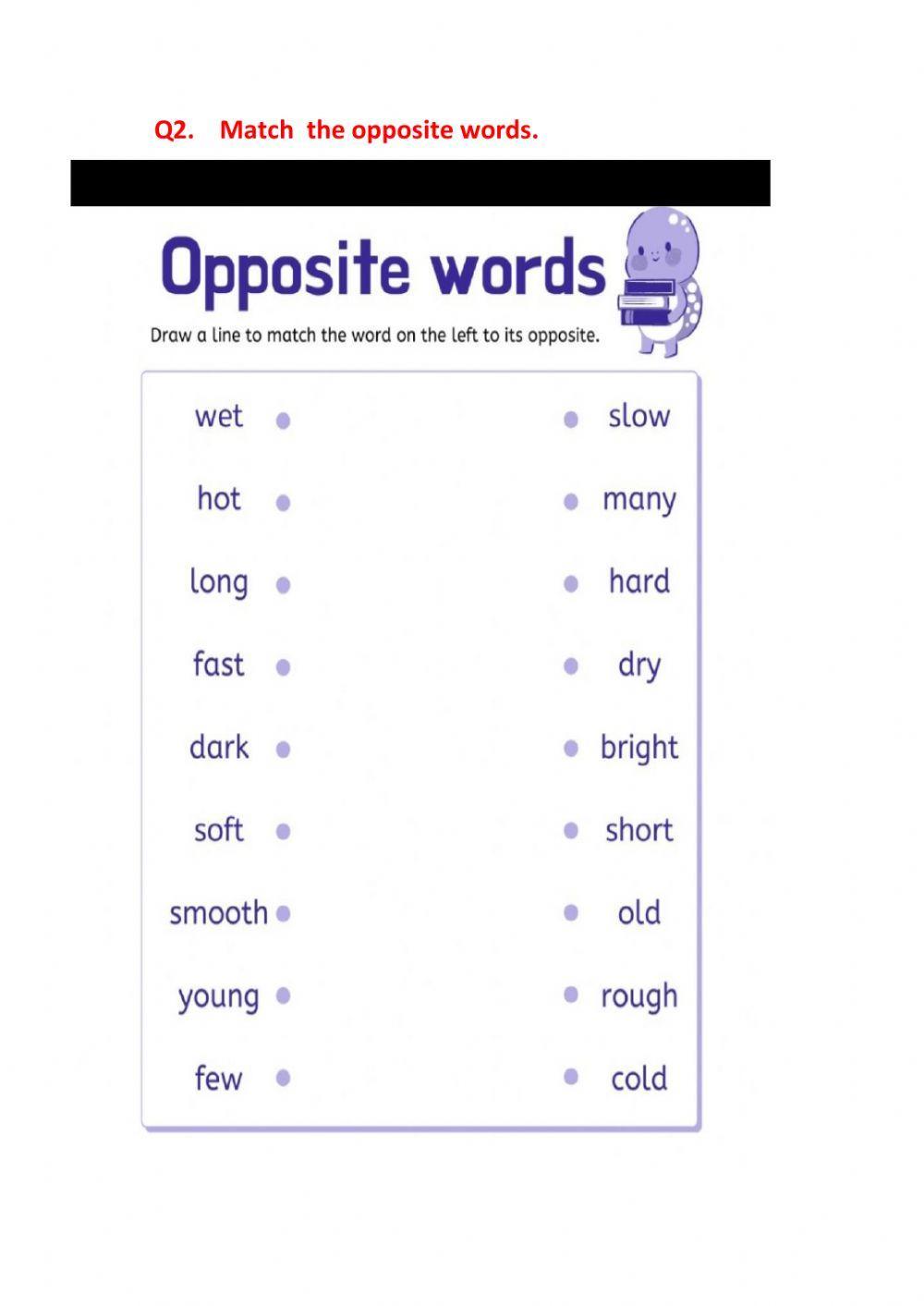 ENGLISH ASSIGNMENT CLASS II online exercise for | Live Worksheets