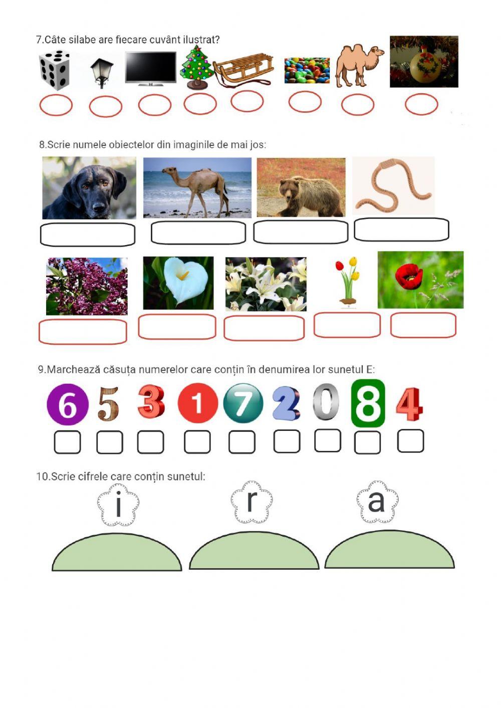 Recapitulare-evaluare