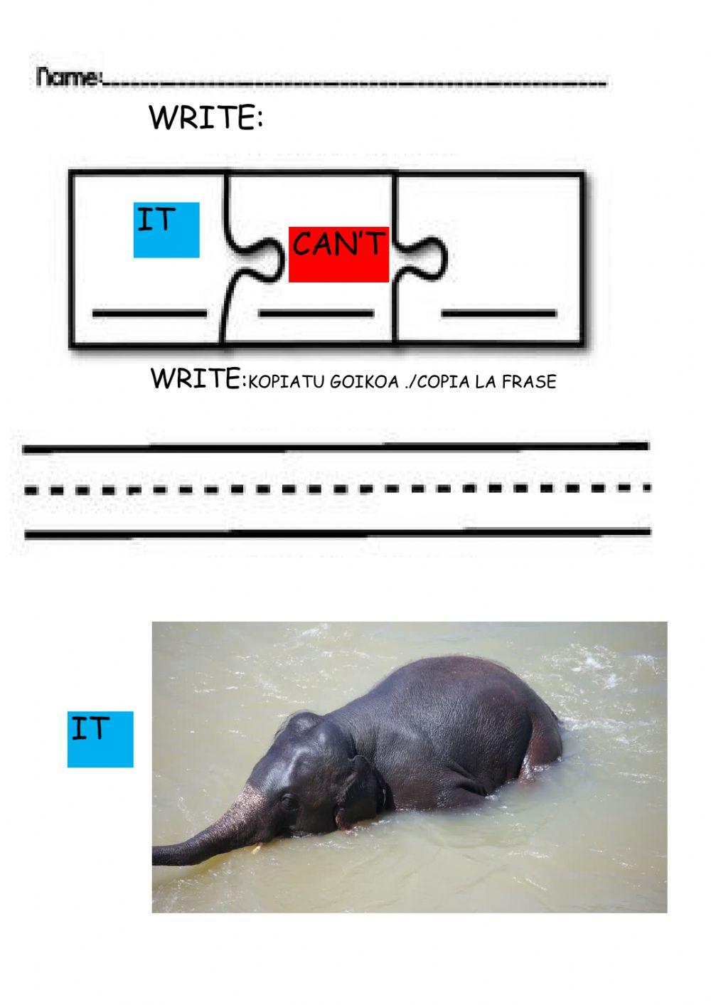 Unit 2  unit 2 CAN'T