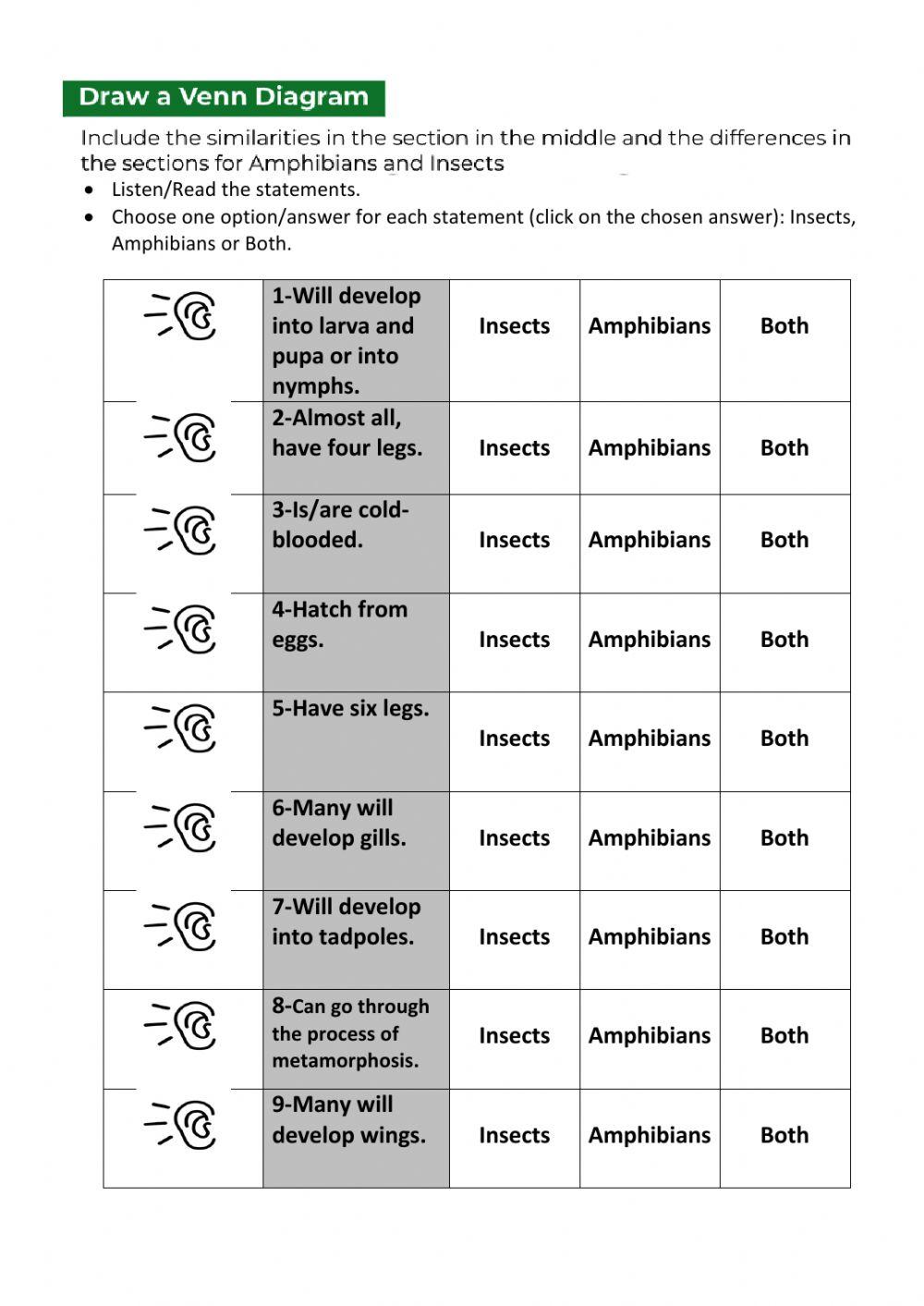 Lifecycle Insect&Amphibian