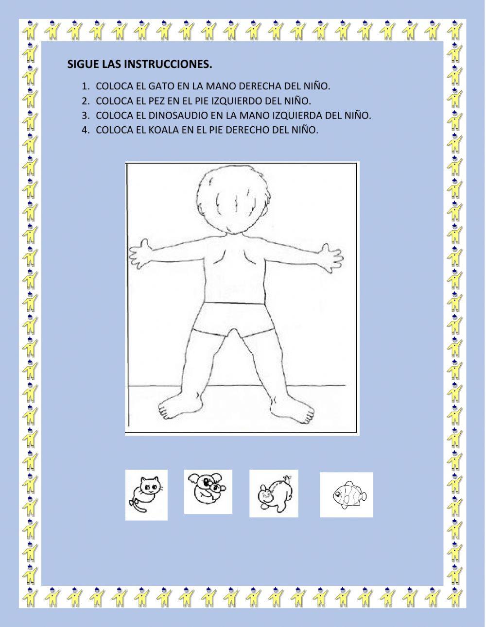 Sigue las instrucciones 2