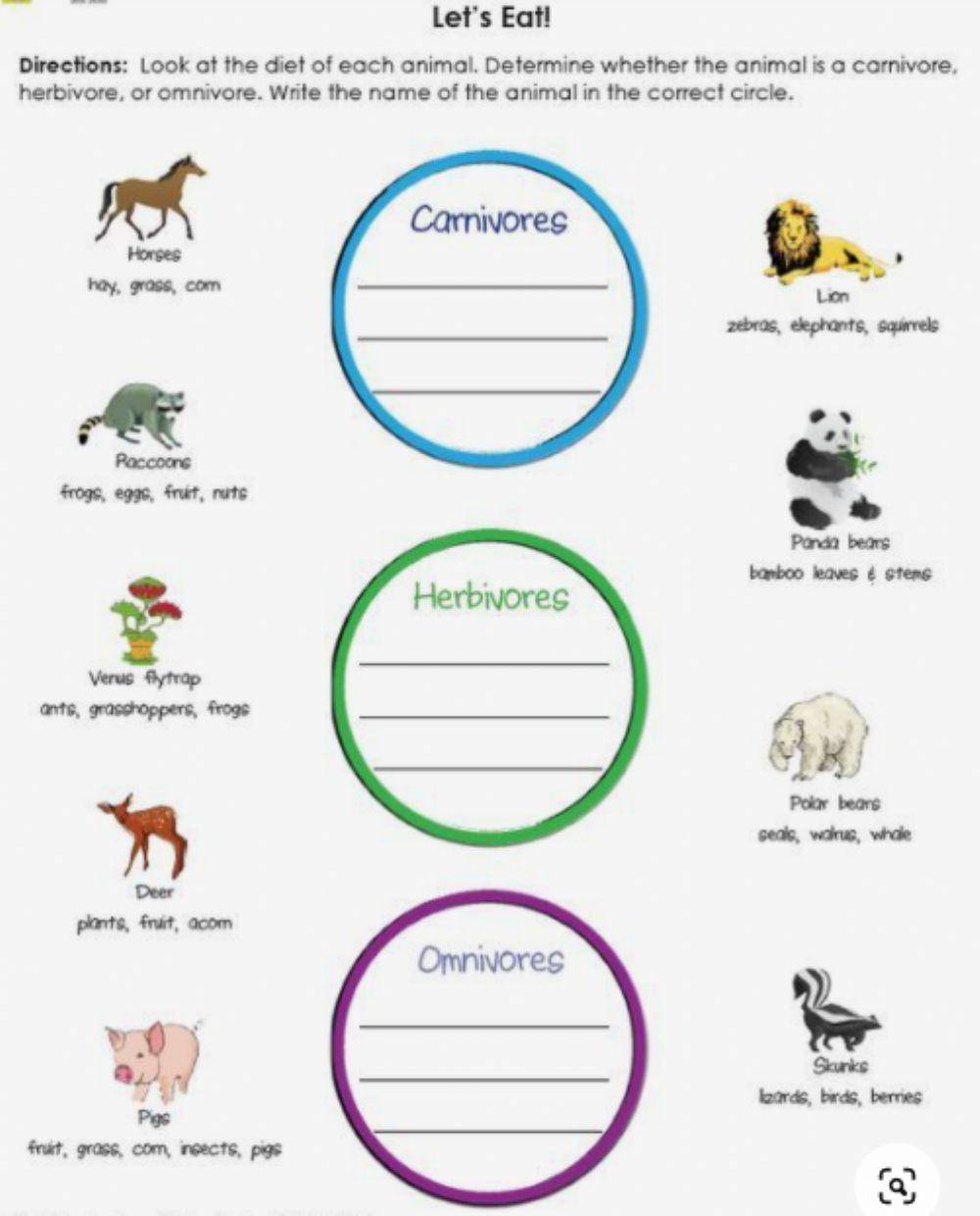 Let's Eat- Sort animals worksheet | Live Worksheets
