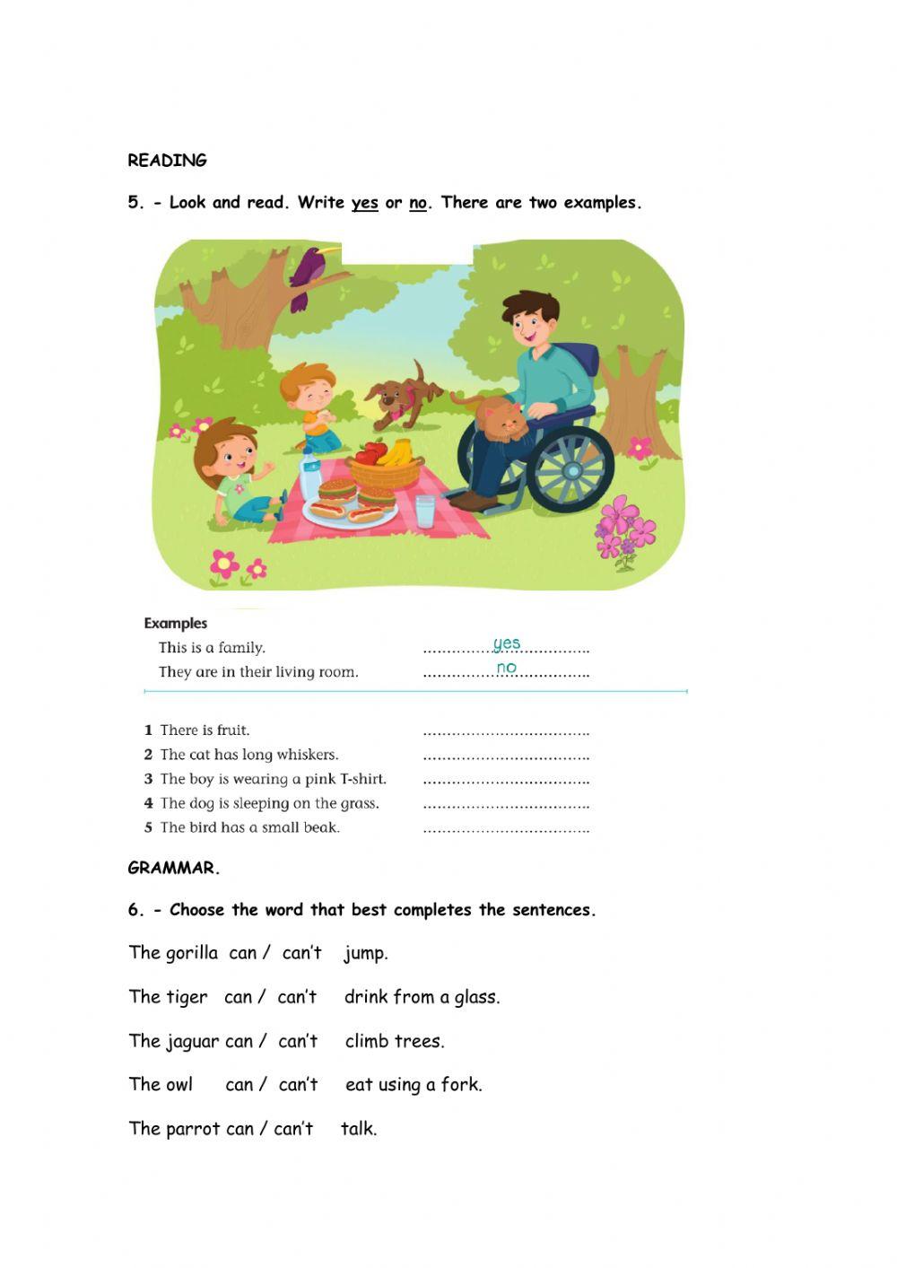 Midterm exam 3rd grades