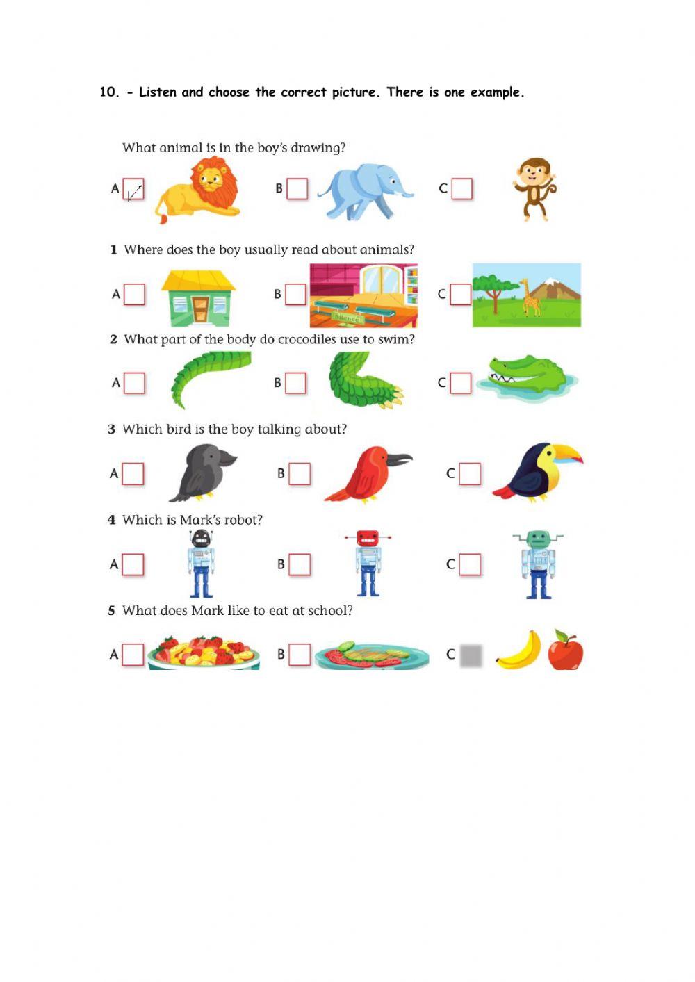 Midterm exam 3rd grades