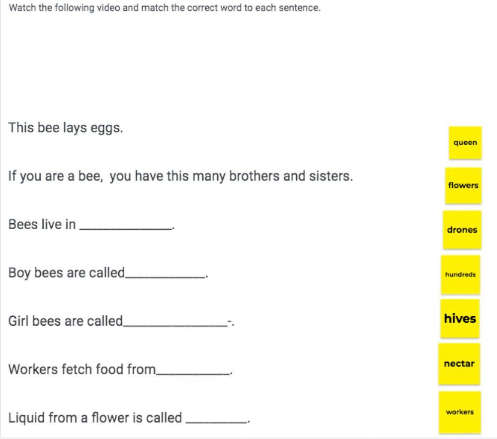 Honey bee comprehension