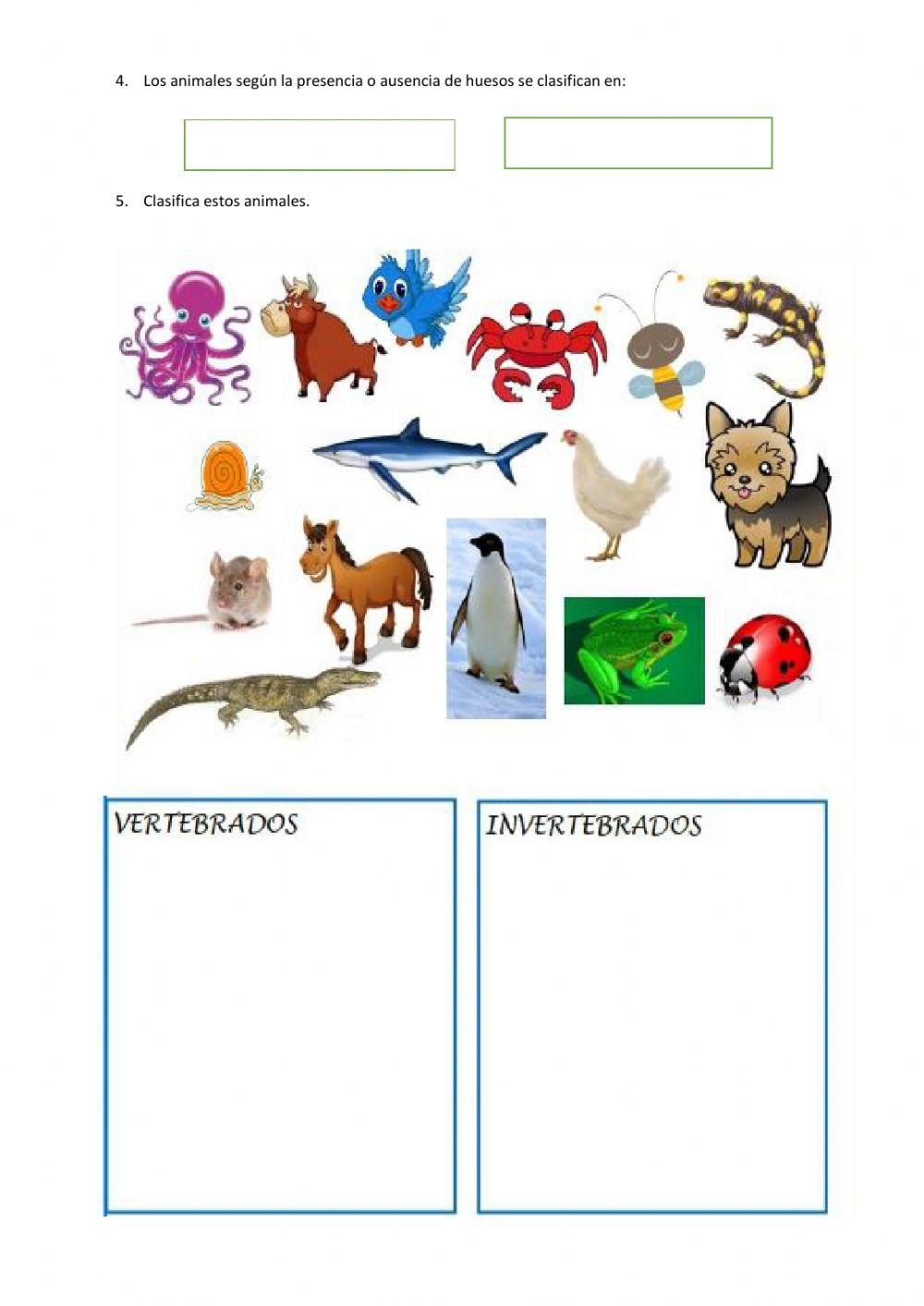 Evaluación-Segundo parcial-CCNN
