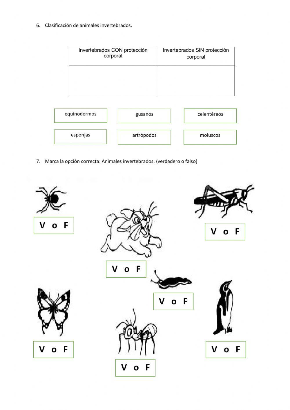 Evaluación-Segundo parcial-CCNN