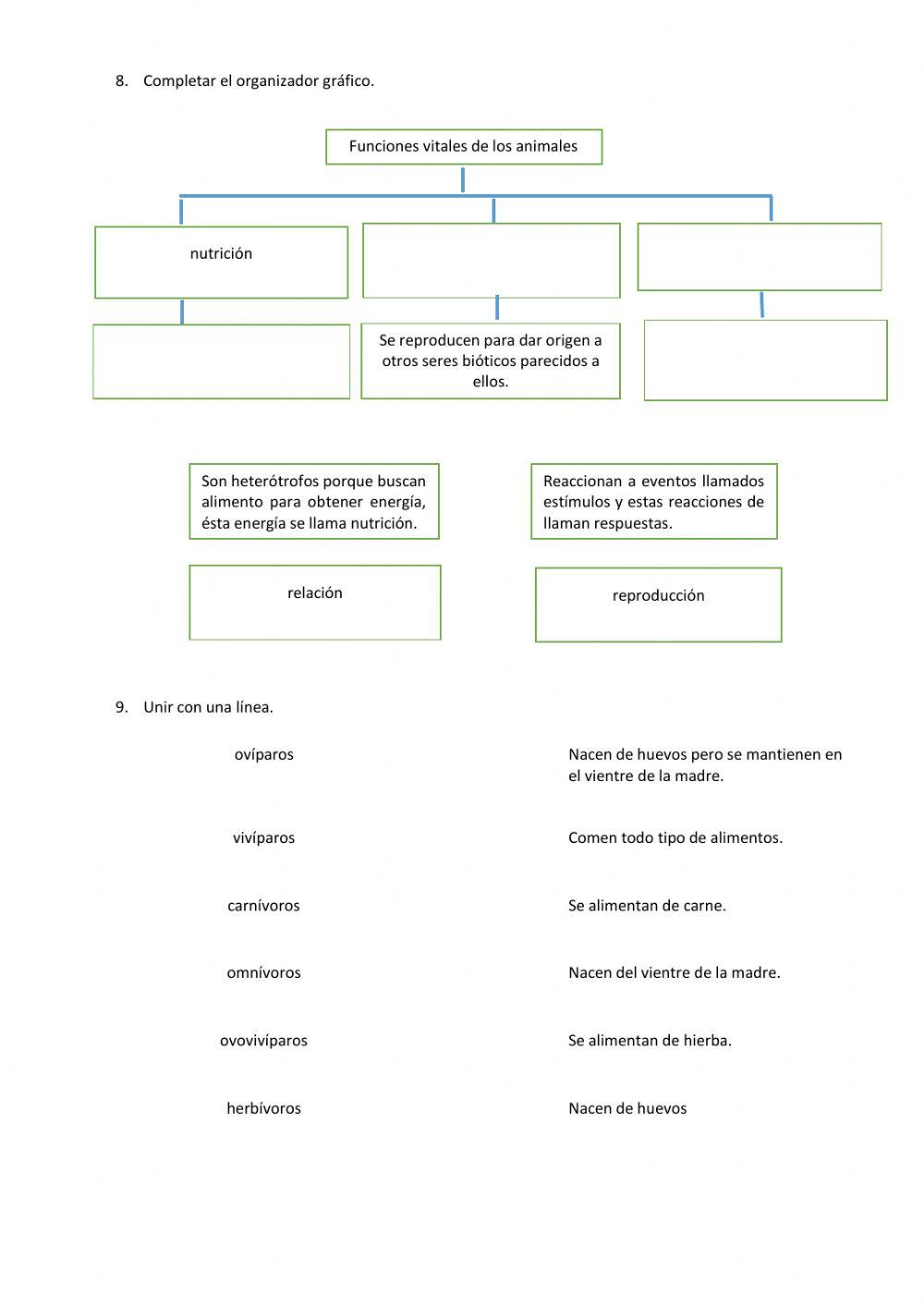 Evaluación-Segundo parcial-CCNN