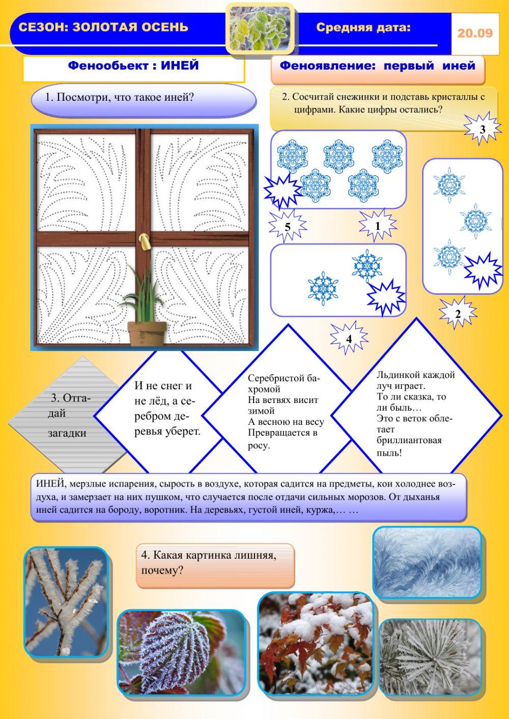 Фенология,осень,иней