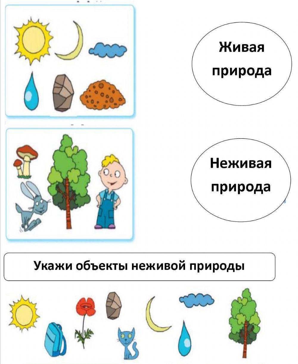 Тест природа и предметы созданные человеком 2 класс школа россии