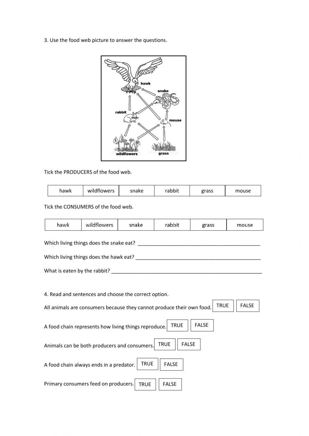 Unit 3: Our plant's biosphere