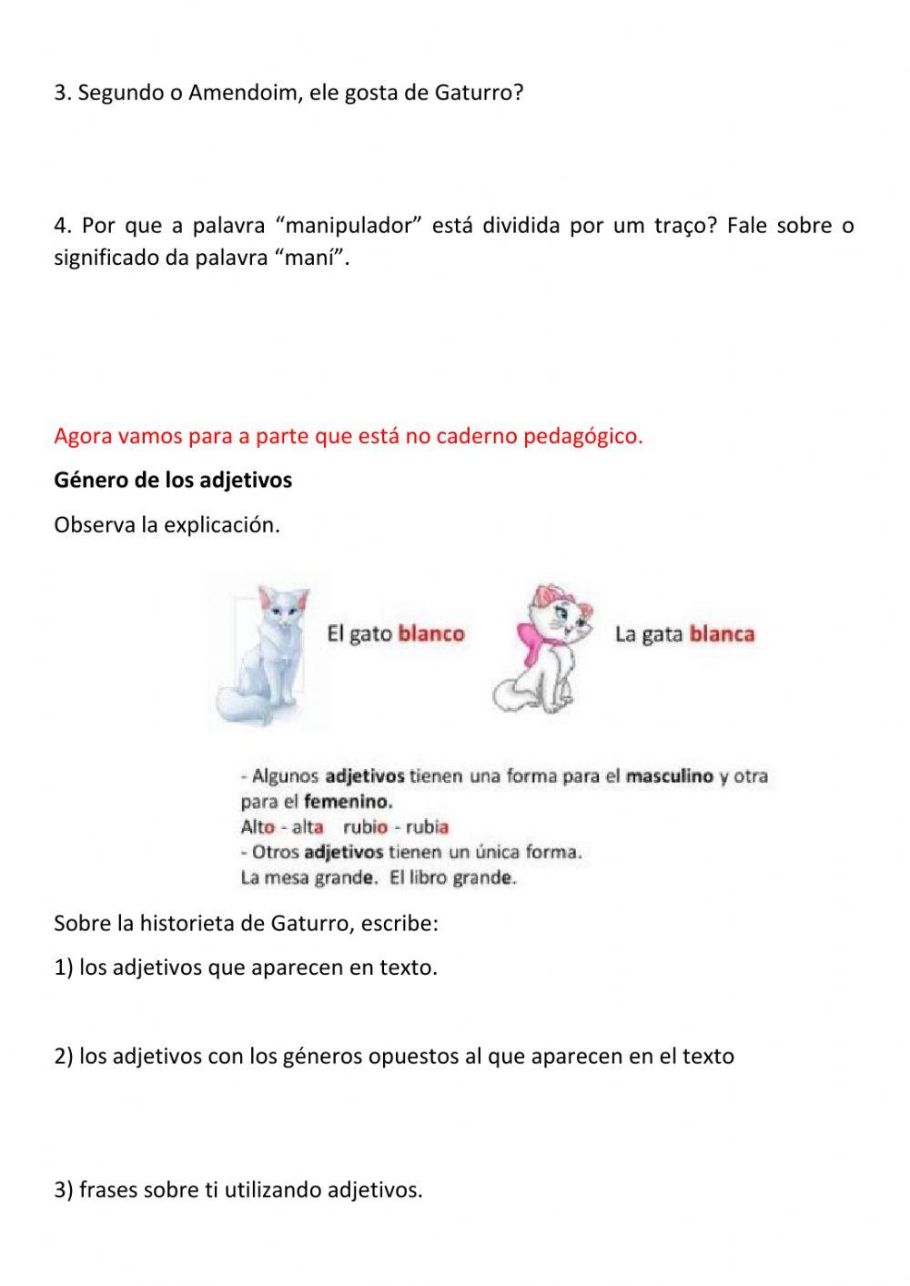 Los generos de los adjetivos