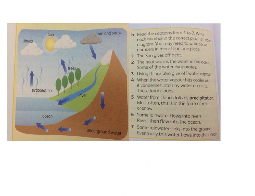 Water cycle diagram