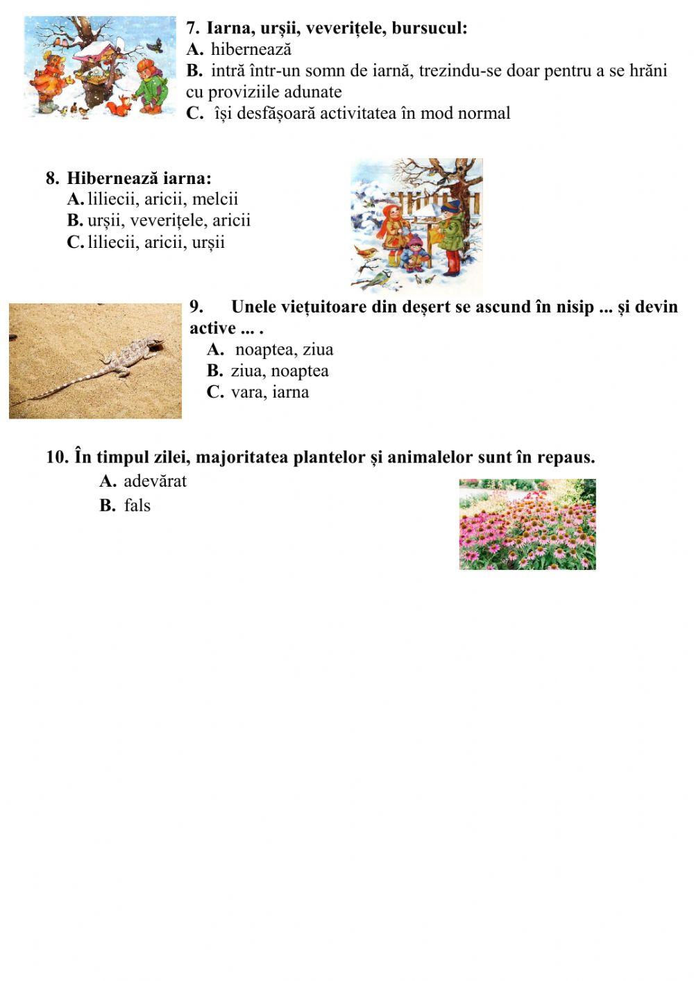 Ritmuri cotidiene si anuale ale activitatilor vietuitoarelor
